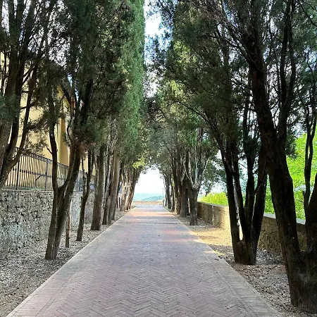 Residenza Le Mura Apartment Montescudaio